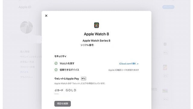 Apple_Pay_20231029_03.jpg